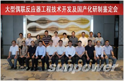 大型偶联反应器工程技术开发及国产化项目通过鉴定