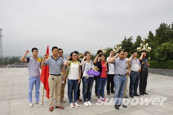 党员同志积极开展“两学一做”学习教育活动